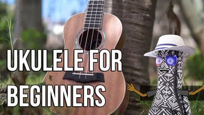 Ukulele for Beginners : Which Instrument Is Best?
