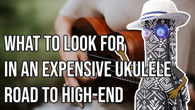 What to look for in an expensive ukulele - Road to High-end
