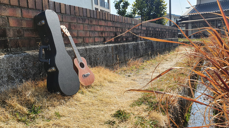 Bondi Vintage Concert Ukulele Hardcase
