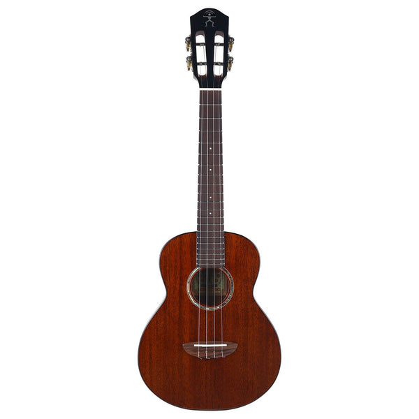 ANUENUE MINIC MAHOGANY ウクレレ 1.jpg