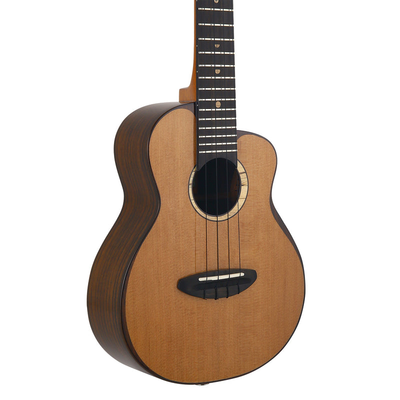 aNueNue Cedar Bird Concert Electric Ukulele UC214E