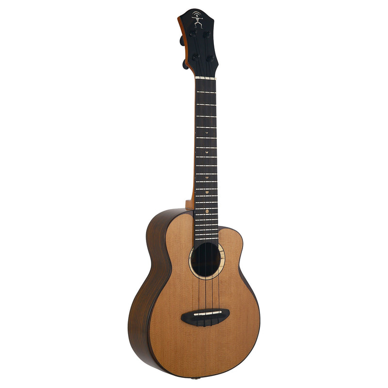 aNueNue Cedar Bird Concert Electric Ukulele UC214E