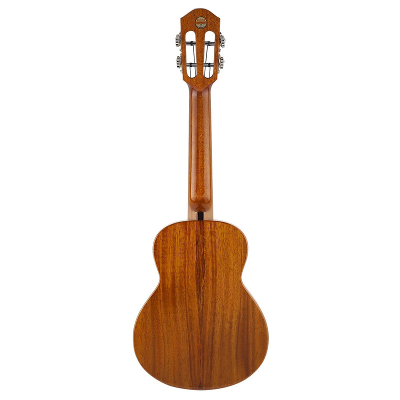 aNueNue Hawaiian Koa Concert Electric Ukulele AKK2E