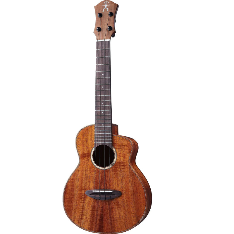 aNueNue Koa Bird Concert Electric Ukulele UC1KE