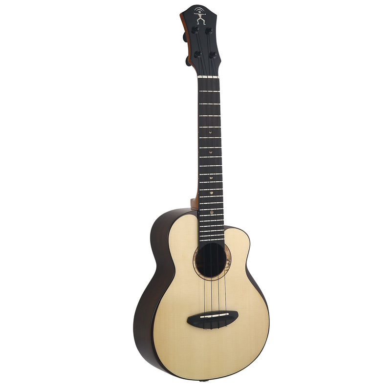 aNueNue Moonbird Concert Electric Ukulele UC200E - Blue Case
