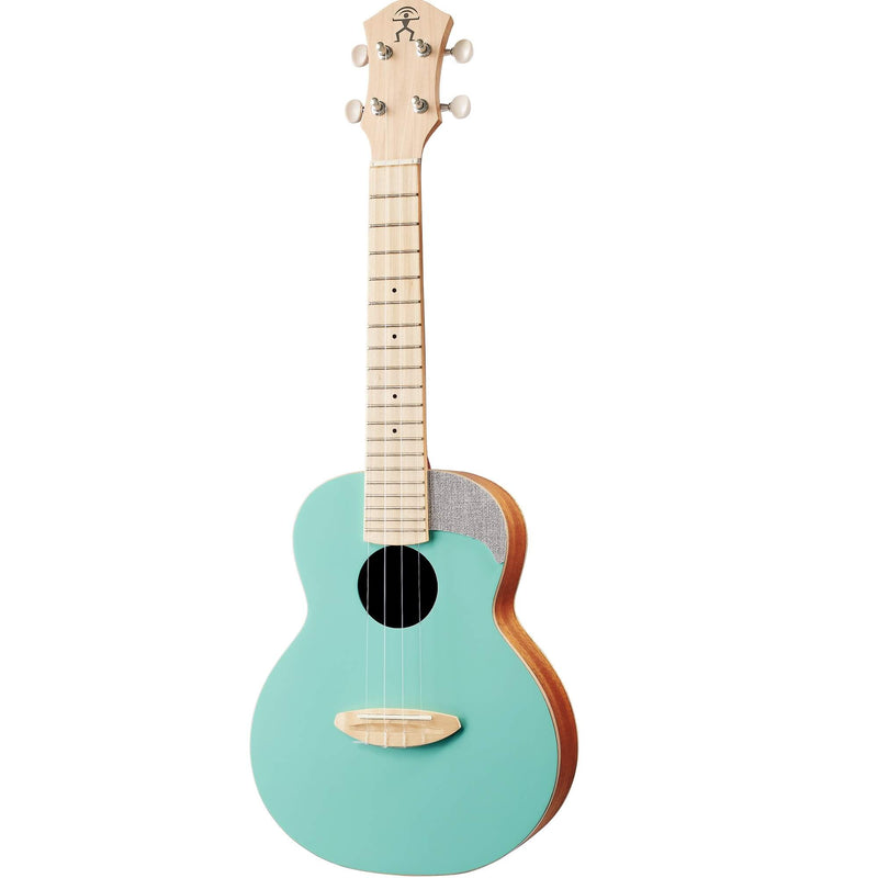 aNueNue UC10 Ice Green Concert Ukulele