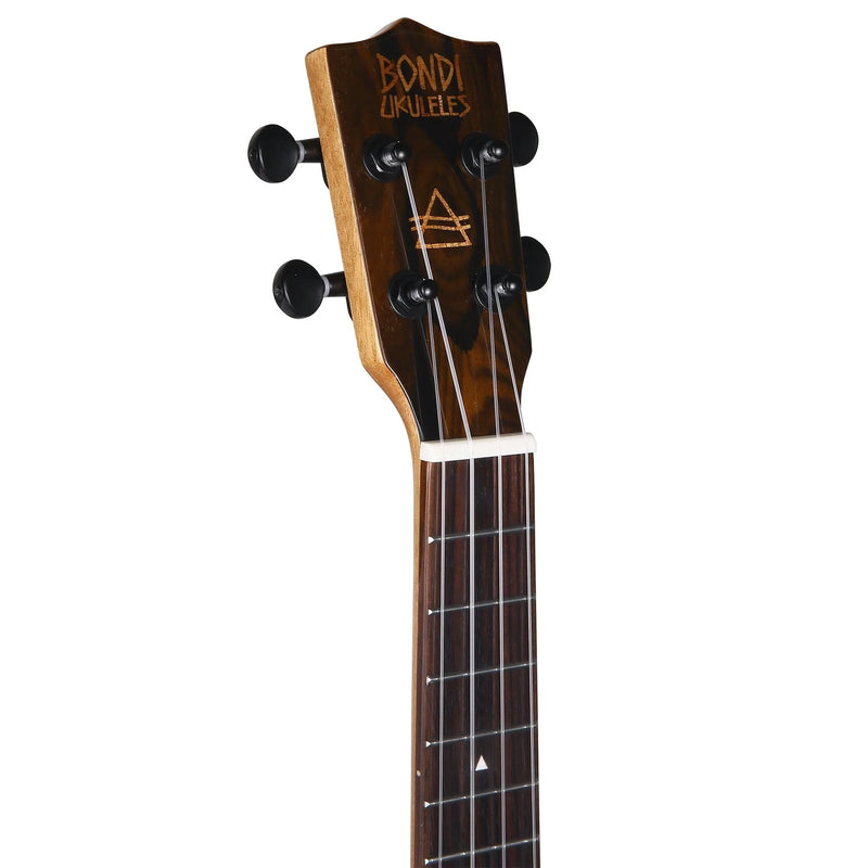 Bondi Sundance Ziricote Concert Electric Ukulele