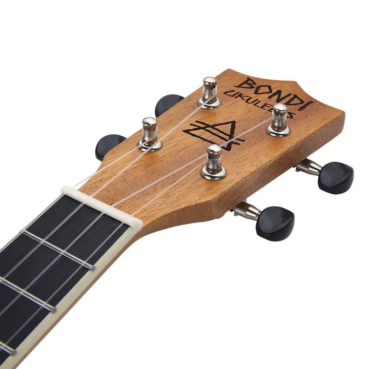 Arcadia Mahogany Concert Ukulele Bundle - Bondi Ukuleles