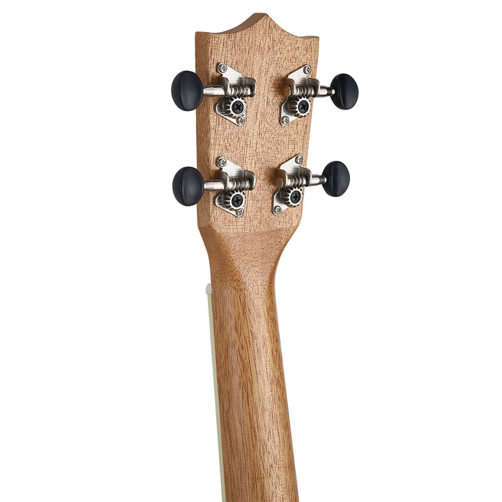 Arcadia Mahogany Concert Ukulele Bundle - Bondi Ukuleles