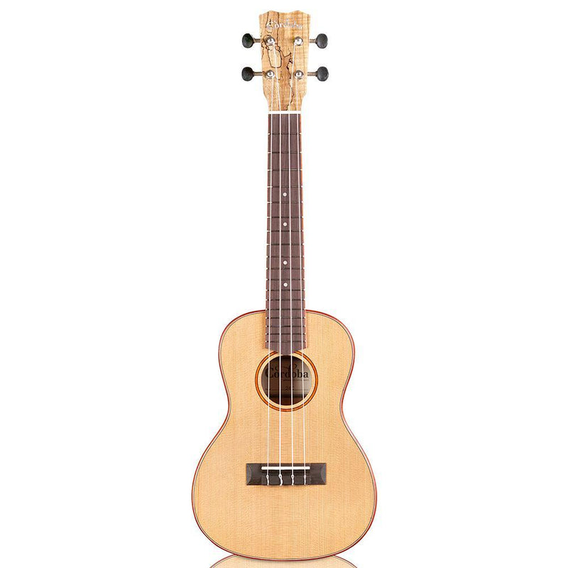 Cordoba 24C Spruce & Spalted Maple Concert Ukulele