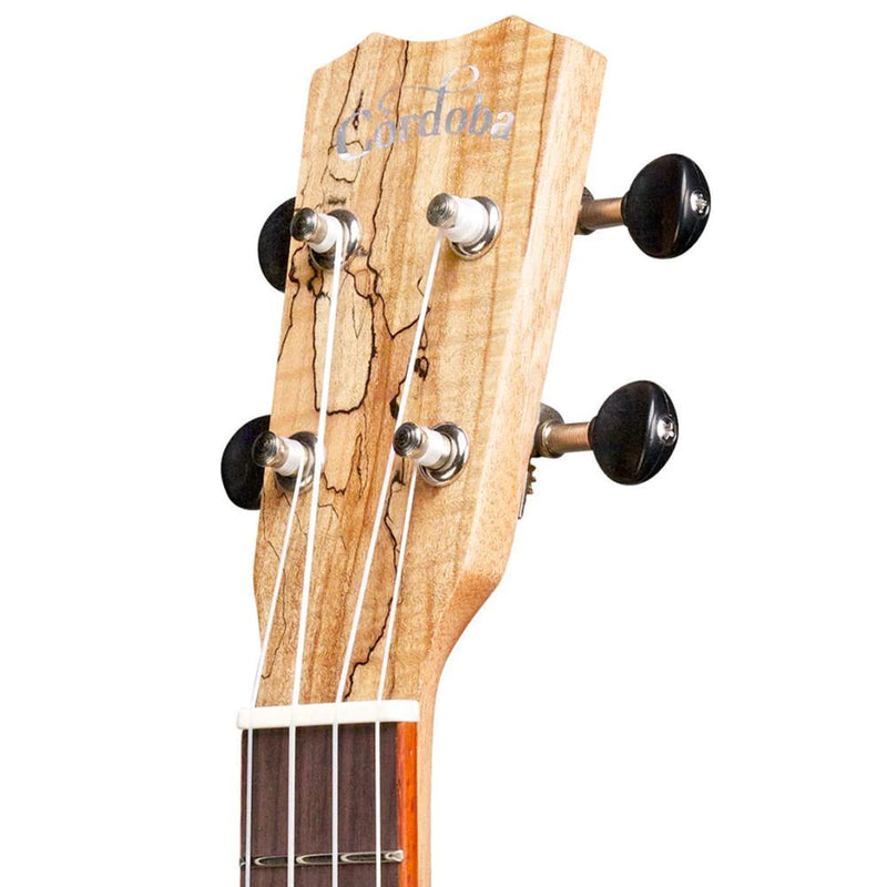 Cordoba 24C Spruce & Spalted Maple Concert Ukulele