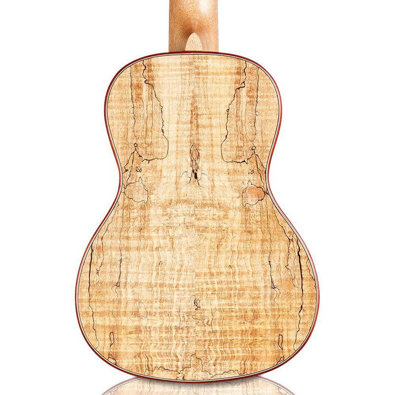 Cordoba 24C Spruce & Spalted Maple Concert Ukulele