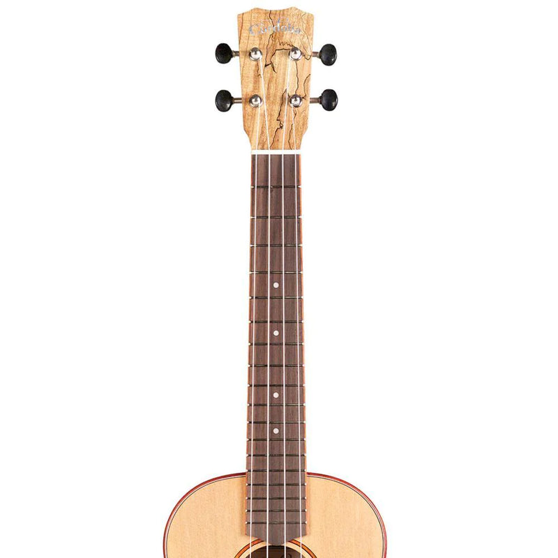 Cordoba 24T Spruce & Spalted Maple Tenor Ukulele