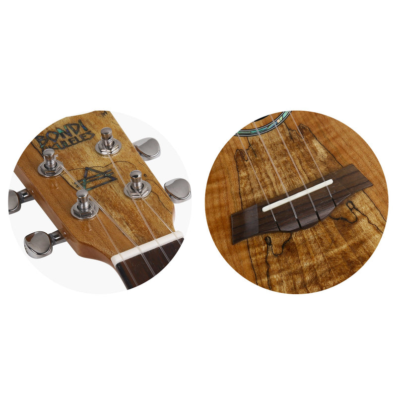 Bondi Spalted Maple Concert Ukulele