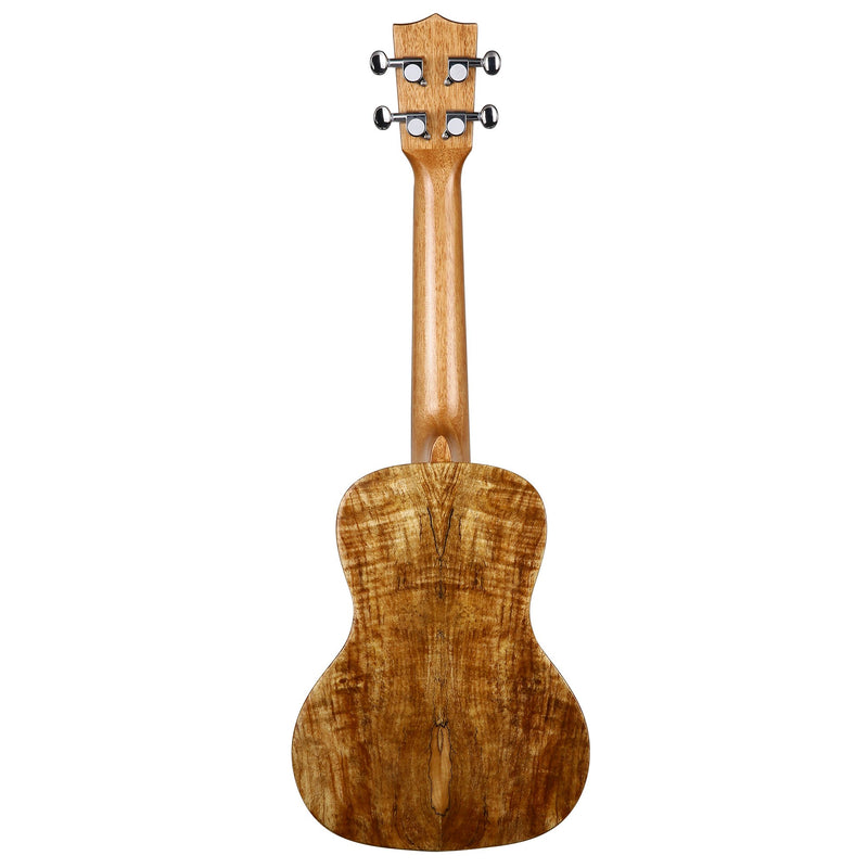 Bondi Spalted Maple Concert Ukulele