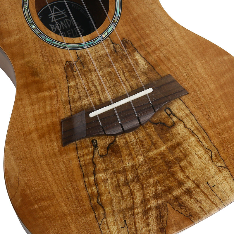 Bondi Spalted Maple Concert Ukulele