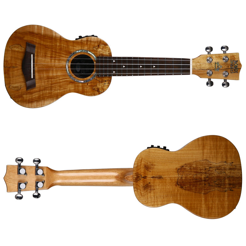 Bondi Spalted Maple Soprano Electric Ukulele